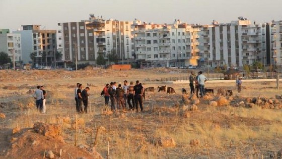Mardin'de çobanın bulduğu cisim patladı