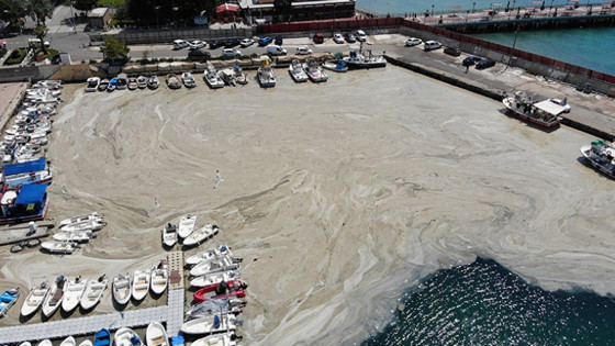Bakan Kurum Marmara Denizi'nde temizlenen müsilaj miktarını açıkladı
