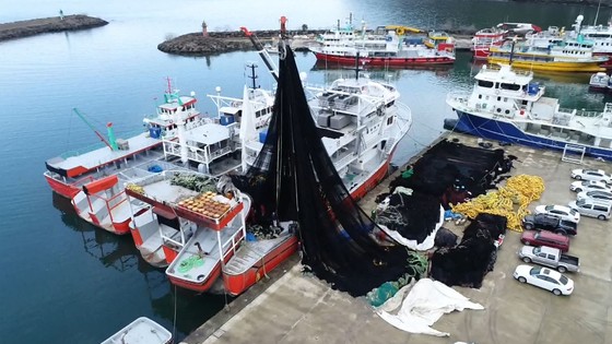 'Sessiz Katil' Karadeniz'de: Dört Ülkede Birden Mücadele Başladı
