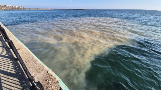 Tekirdağ'da Denizin Rengi Değişti