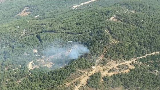 Milas’ta Çıkan Orman Yangını Kontrol Altında