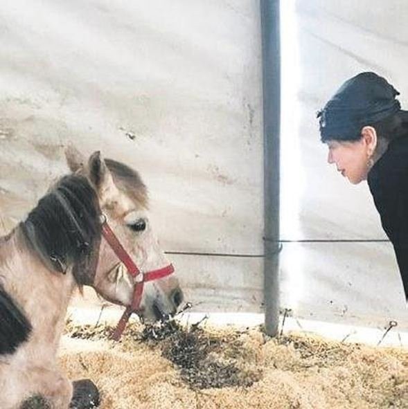 Sezen Aksu, ölüme terk edilen ata sahip çıktı - Resim: 3