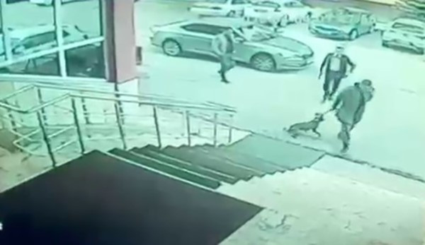 Köpeğe Tekme ve Silah İddiası! Palandöken Kaymakamı ve Koruması Hakkında Soruşturma - Resim : 3