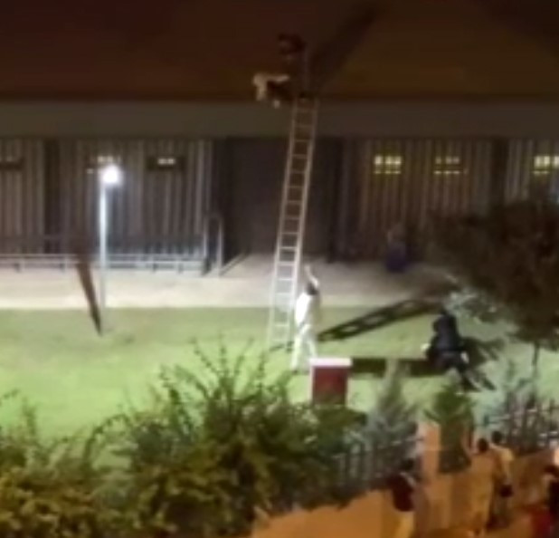 Blok3 Konserinde Kan Donduran Olay! Bir Genci Çatıdan Aşağı Atıp Diğerini Darp Ettiler - Resim : 2