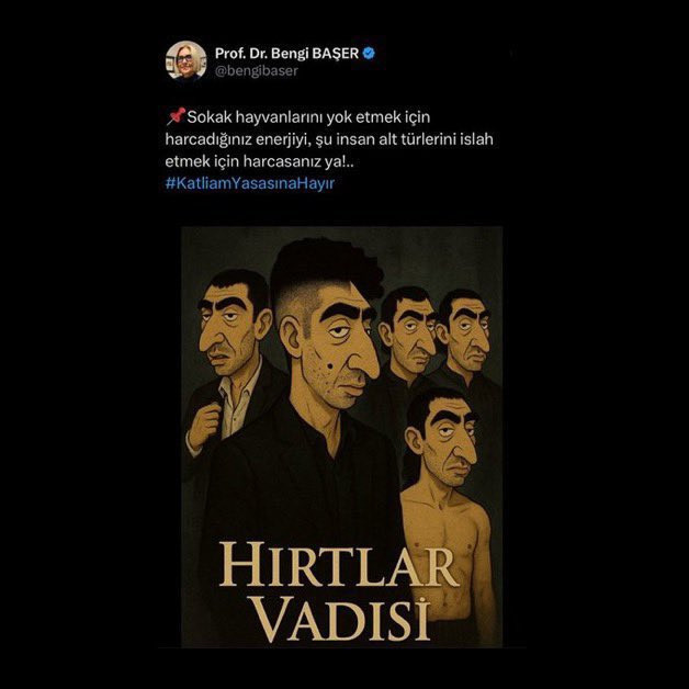 Sosyal Medya Paylaşımı Tepki Çekmişti: Bengi Başer'e Bir Suç Duyurusu da DEM Parti'den - Resim : 1