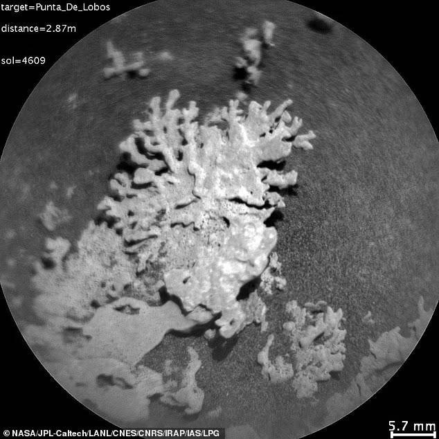 Kızıl Gezegen'de Heyecanlandıran Keşif: Bir Zamanlar Hayat Var mıydı? - Resim : 1