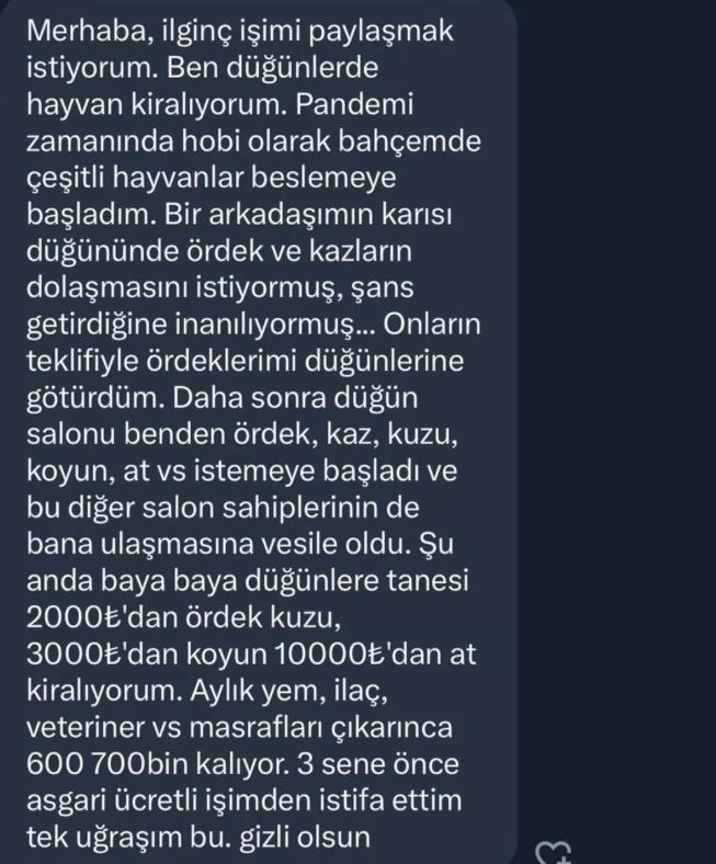 Asgari Ücretli İşinden İstifa Etti: Yeni Mesleğine Kimse İnanamadı! Şimdi Aylık 700 Bin TL Kazanıyor - Resim : 2