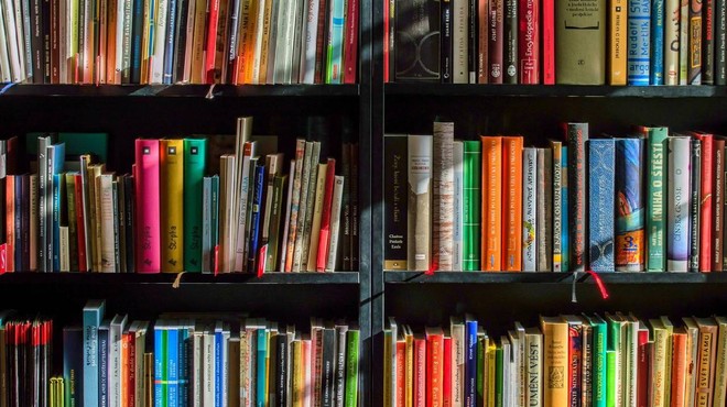 Herkes Peşine Düştü! Evinde Olan Zengin Oldu: Değeri Tam  6 Milyon Dolar