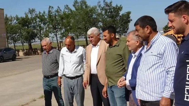 Yılın İlk Hasadı Başladı: Dalından Koptuğu Gibi 17 Bin TL'den Satıldı