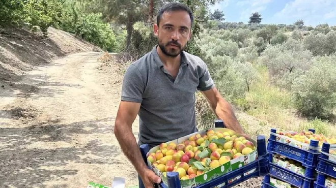 Arsuz'da Bereketli Hasat Başladı! Kilosu 50 Liradan Satılıyor
