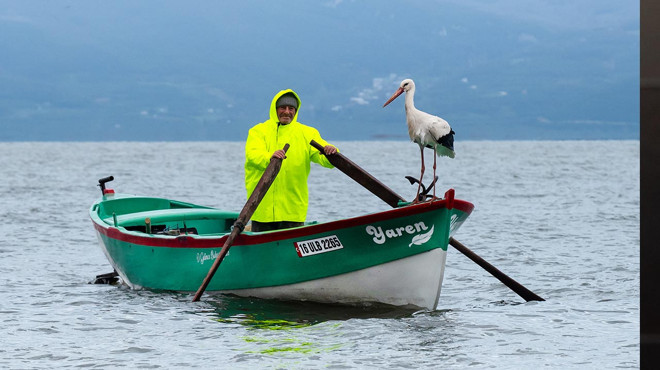 Türkiye'nin Merakla Beklediği Haber Geldi: Yaren Leylek ile Adem Amca 15. Yılda da Bir Arada