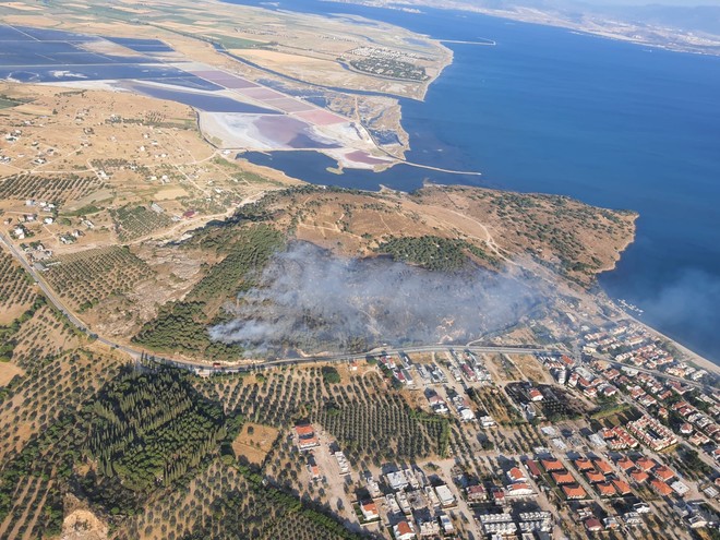 İzmir'de Orman Yangını - Resim : 1