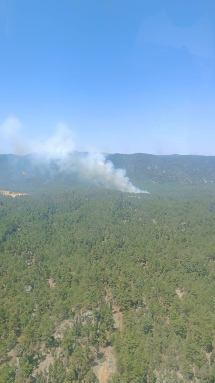 Çanakkale'de Kabus Bitmiyor! Tahliyeler Başladı... Villalar Alev Alev Yandı - Resim : 9
