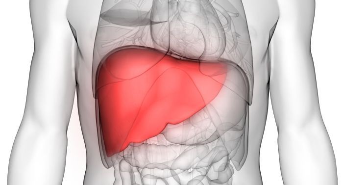 Karaciğer büyümesi hastalık belirtisi: İşte ihmal edilmemesi gereken 5 önemli işaret - Resim: 4