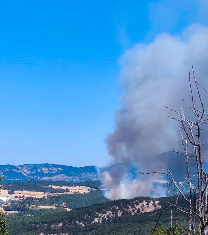 Çanakkale'de Kabus Bitmiyor! Tahliyeler Başladı... Villalar Alev Alev Yandı - Resim : 11