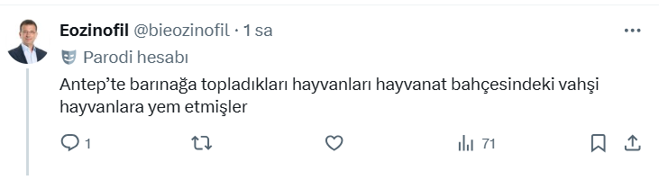 Gaziantep’te Neler Oluyor? Kan Donduran İddia: '60 Bin Köpeği Vahşi Hayvanlara Canlı Canlı Yem Ettiler' - Resim : 3