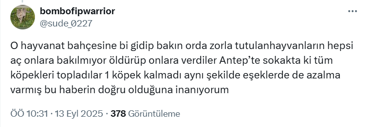 Gaziantep’te Neler Oluyor? Kan Donduran İddia: '60 Bin Köpeği Vahşi Hayvanlara Canlı Canlı Yem Ettiler' - Resim : 2