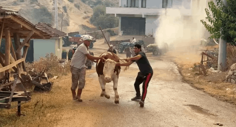 Sakarya'daki Yangın Yine Bilecik'e Sıçradı - Resim : 3
