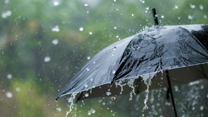 Meteoroloji'den Kritik Uyarı: Yağış ve Fırtına Geliyor - Resim : 2
