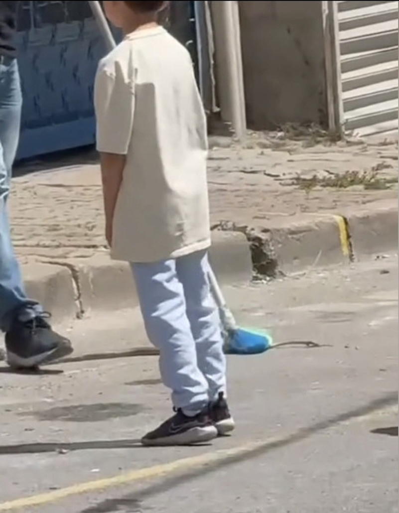 İstanbul'da Yılan Paniği! Her Yerden Çıkıyorlar: İşte En Riskli 7 İlçe... - Resim : 5