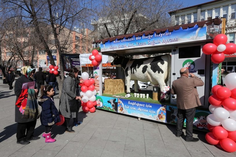 'Akıllı İnek' çocukların ilgi odağı oldu - Resim: 2