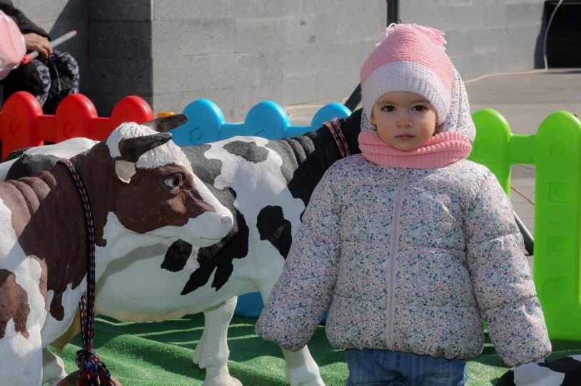 'Akıllı İnek' çocukların ilgi odağı oldu - Resim: 12