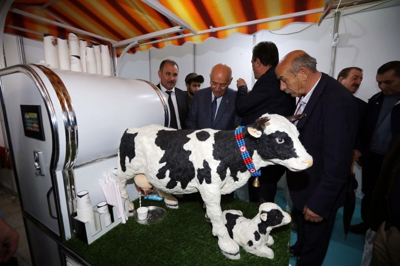 'Akıllı İnek' çocukların ilgi odağı oldu - Resim: 6
