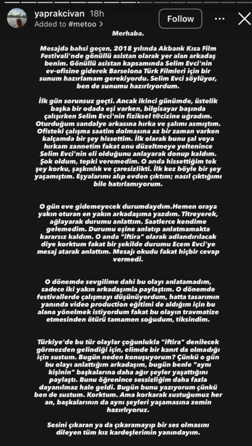 Sanat Dünyasında 'MeToo' Rüzgarı! Yönetmen Selim Evci Hakkında Taciz İddiaları... MUBİ ve Akbank Sanat Biletini Kesti - Resim : 3