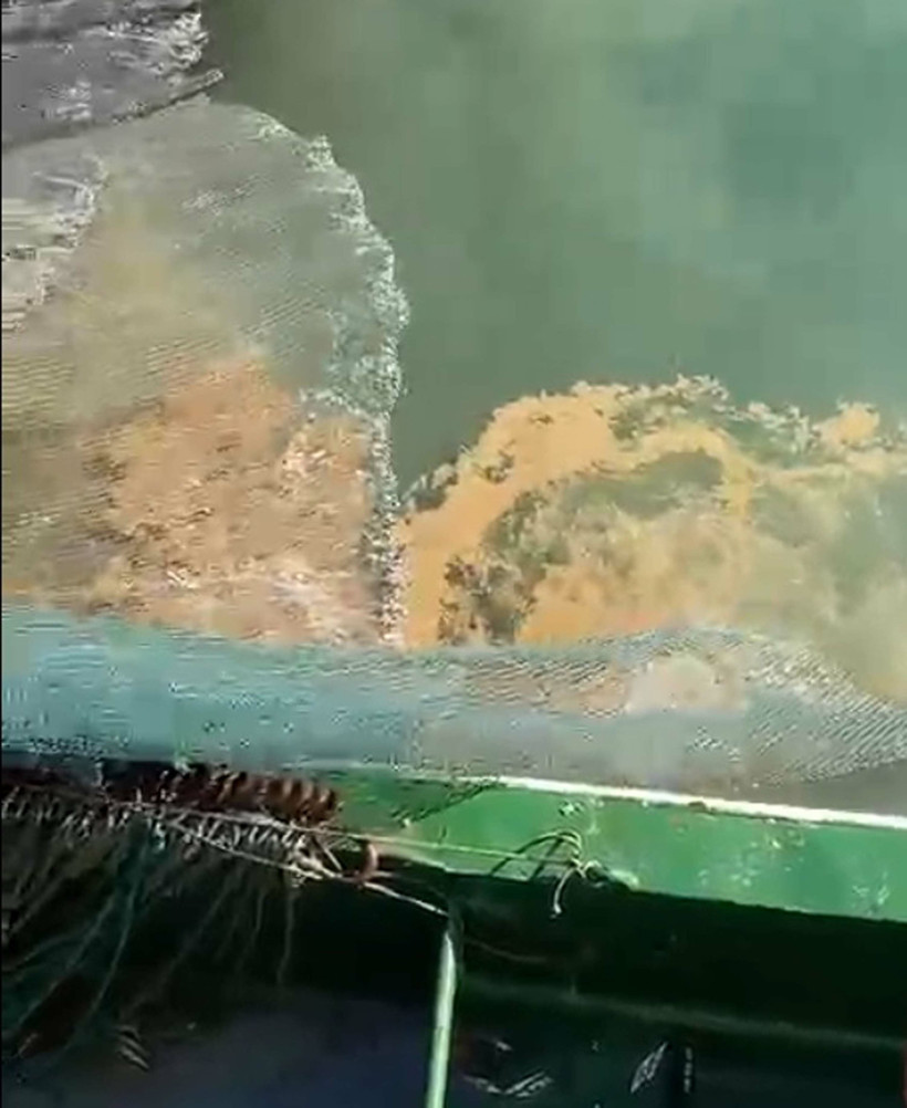 Tekirdağ’da Bir İlk! Marmara’da Müsilaj Sessiz Sessiz Yayılıyor… Kriz Kapıda - Resim : 1