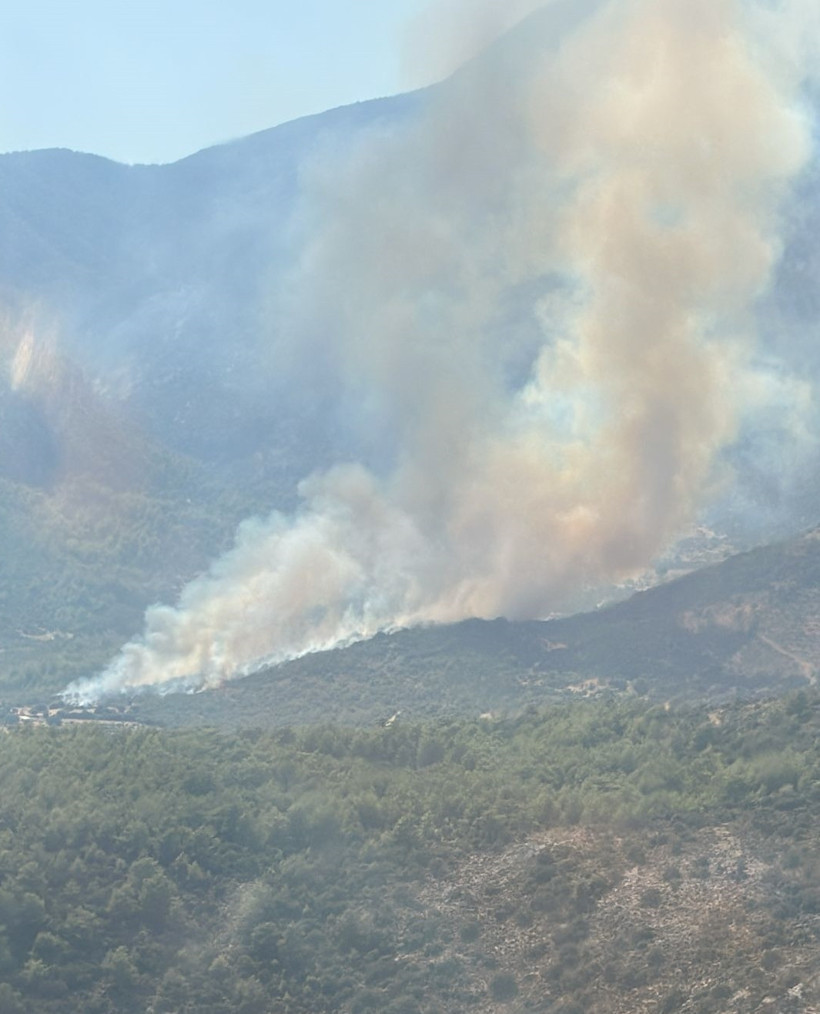 Kızıl Felaket Yine Dirildi! Muğla ve Adana'dan Sevindiren Haber Geldi - Resim : 2