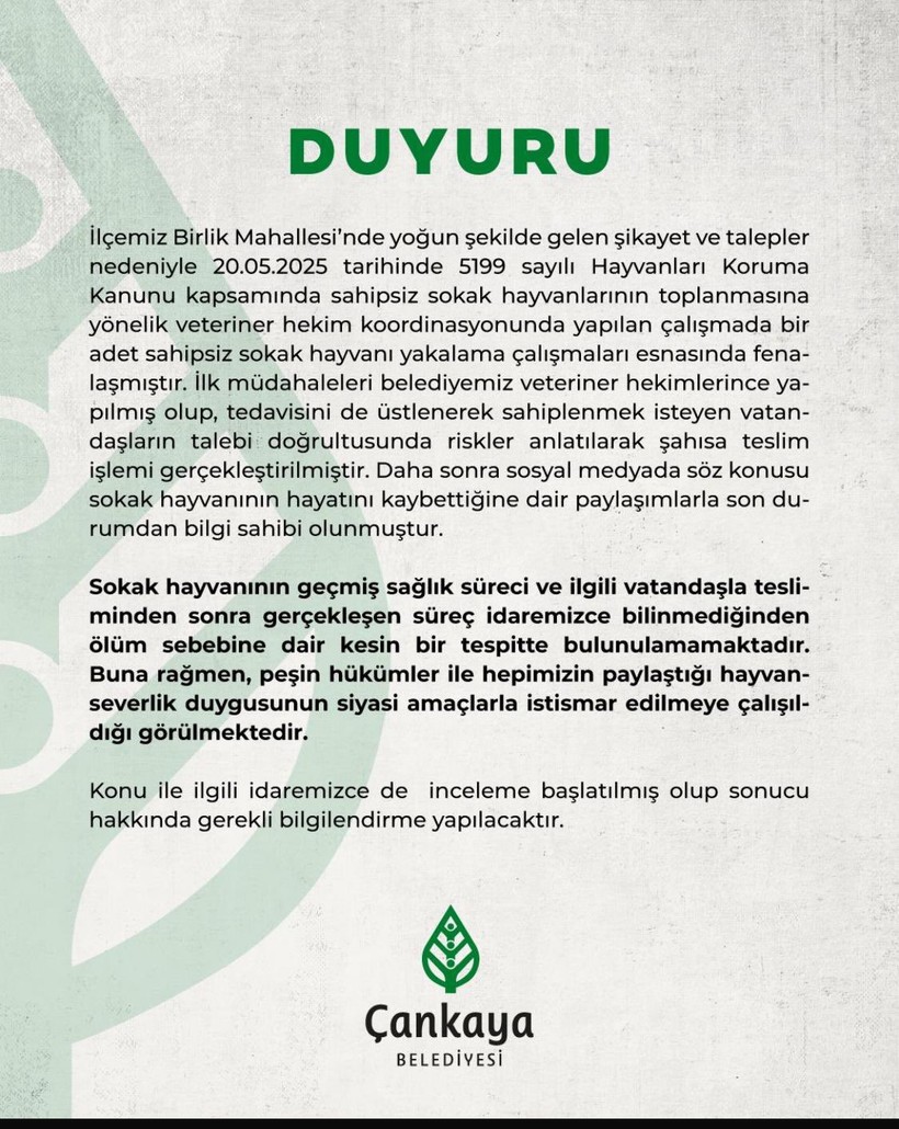 Ankara'dan Vicdanları Sızlatan Haber! Yerinden Alınarak Anestezi Verilen Köpek Hayatını Kaybetti - Resim : 2