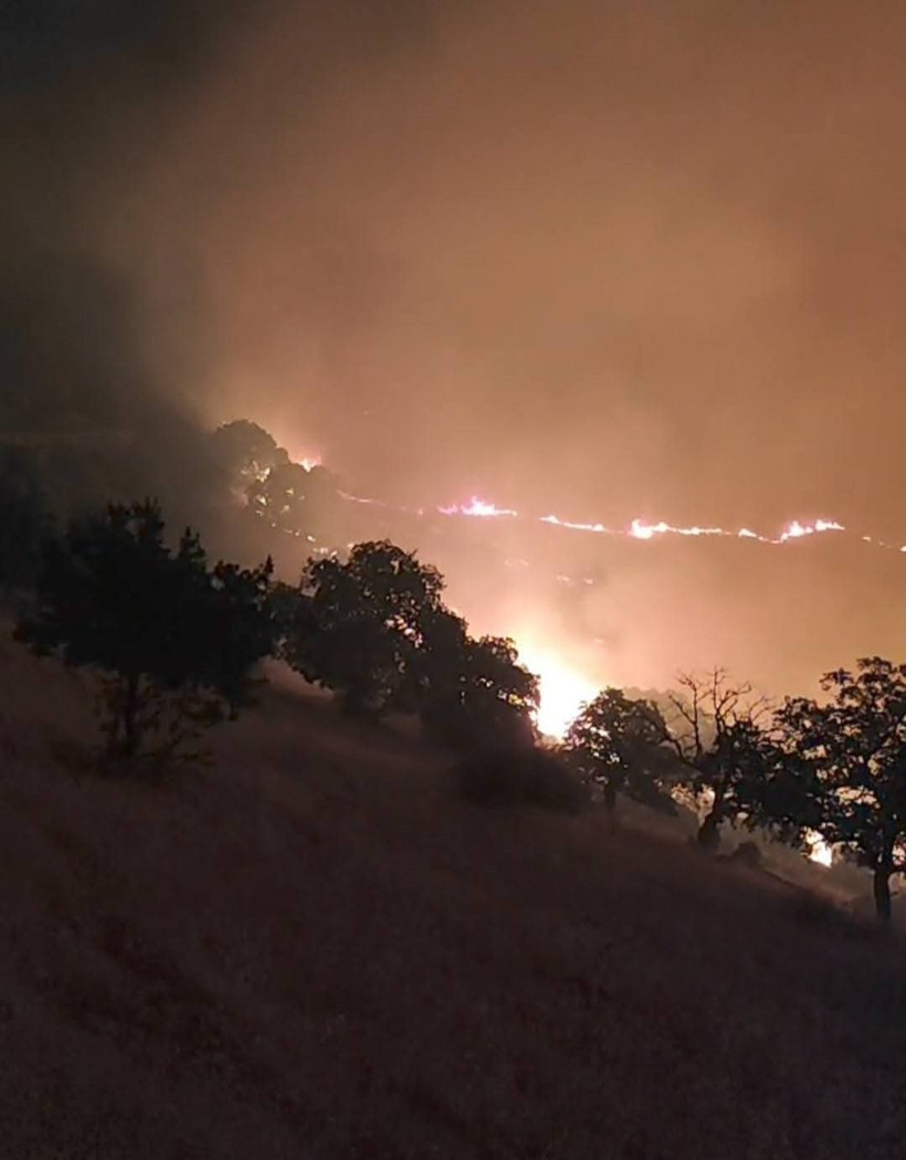 Orman Yangınları Yurdu Sardı! Biri Biterken Diğeri Başlıyor, Alevlerle Amansız Mücadele Gece Gündüz Sürüyor - Resim : 12
