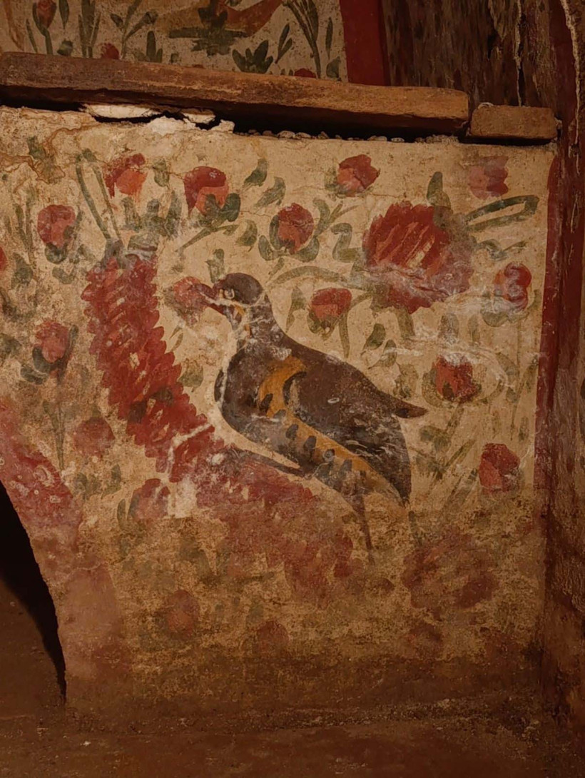 Papa 14. Leo'nun Ziyaretinin Ardından Gün Yüzüne Çıkarıldı! İznik'te Müthiş Keşif... Hem Türkiye Hem de Dünya İçin Bir İlk - Resim : 4