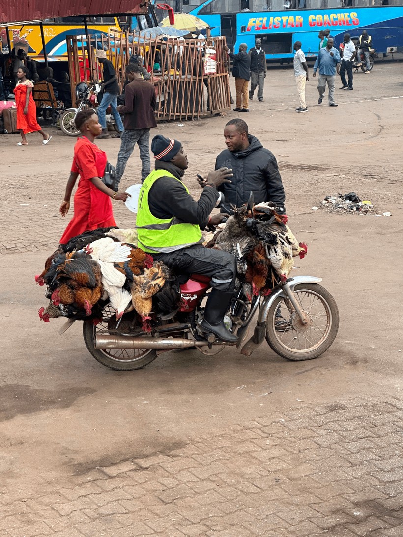 Alaz Sümer yazdı: Uganda ve beklemek üzerine - Resim : 6