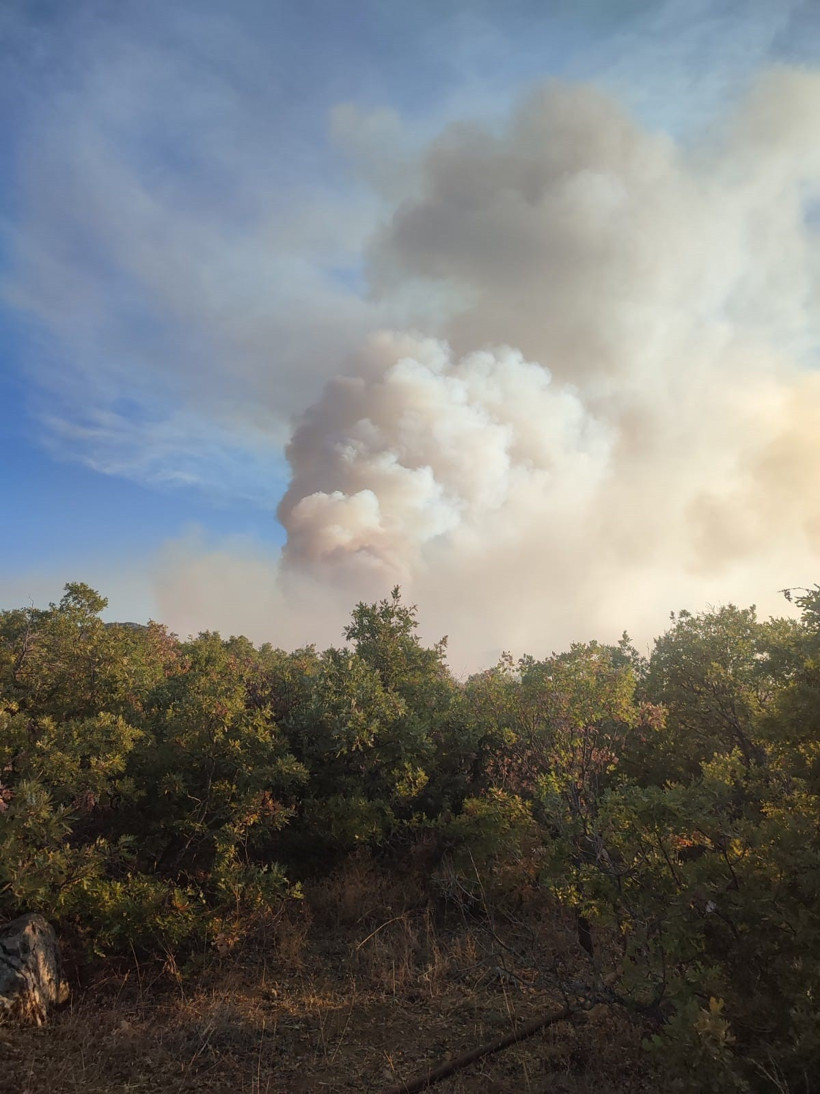 Konya'da Sazlık Alanda Çıkan Yangın, Ormana Sıçradı - Resim : 1