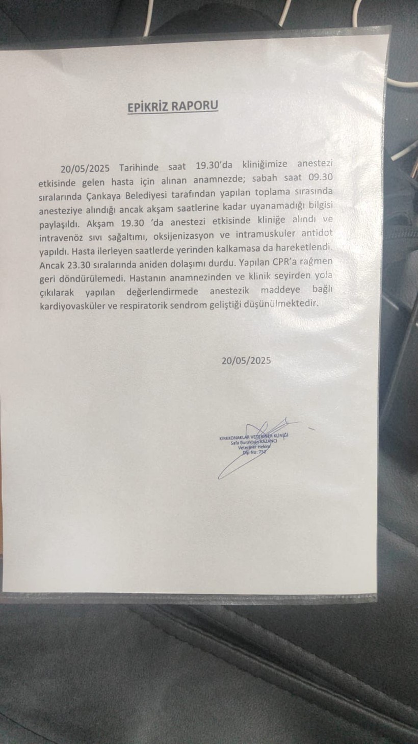 Ankara'dan Vicdanları Sızlatan Haber! Yerinden Alınarak Anestezi Verilen Köpek Hayatını Kaybetti - Resim : 1