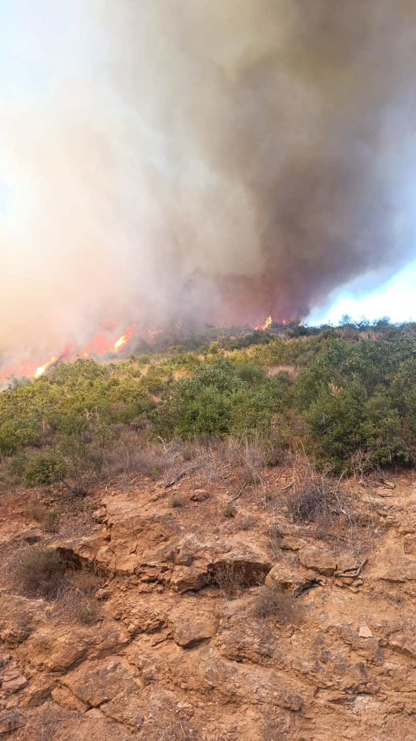 Balıkesir'de Yine Kızıl Kabus! Otomobilde Başladı, Ormana Sıçradı - Resim : 1