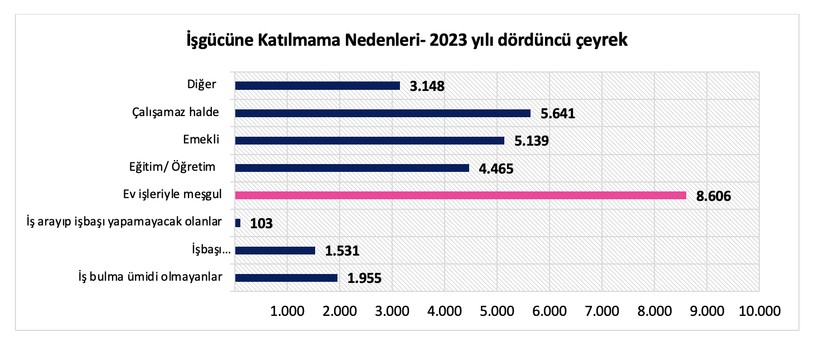 Dr. Burcu Doğan yazdı: Kadınların görünmeyen yoksulluğu - Resim : 3