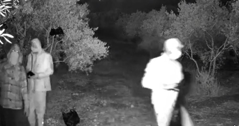 Aydın'da Kaçak Kazı Yapanlara Suçüstü! Yakayı Ele Verdiler - Resim : 1