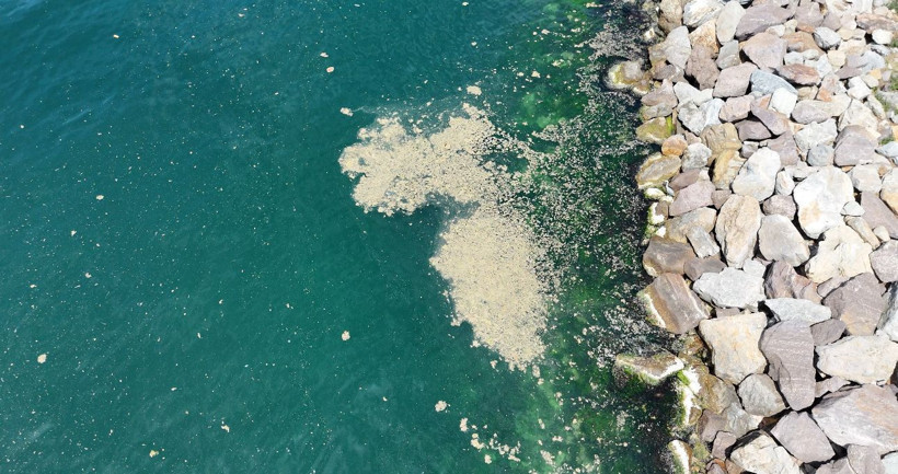 Marmara Denizi'nin Hastalığı Geri Döndü! Maltepe Sahil'de Müsilaj Paniği - Resim : 2