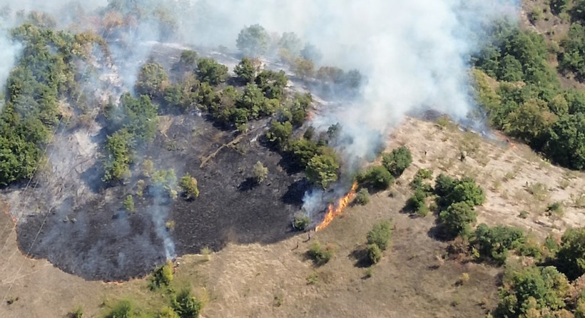 Düzce’de ‘Ateş Hattında 6.Saat! 100 Dönüm Kül Oldu 200 Dönüm Risk Altında - Resim : 1