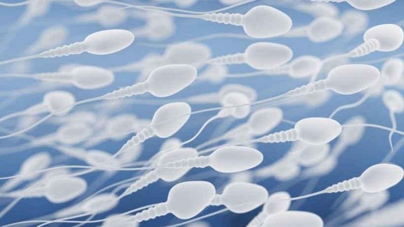 Sperm sayısını artırmanın 9 yolu! İşte sperm sayısını düşüren yiyecekler