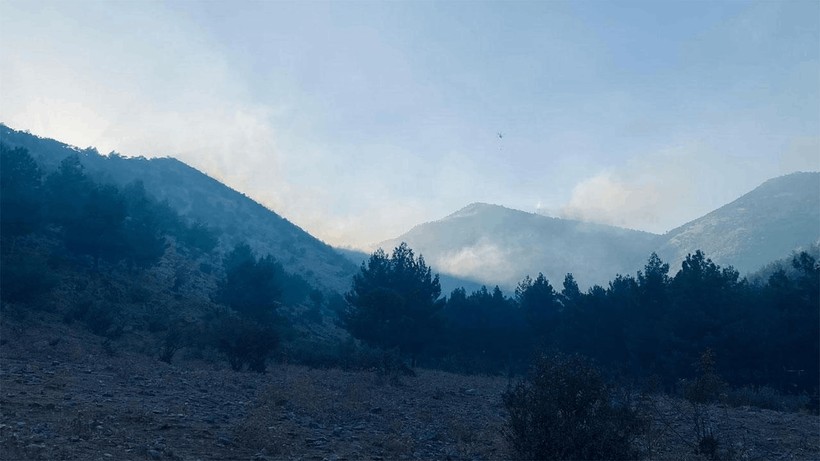 Kahramanmaraş'taki orman yangını 17 saatte kontrol altına alındı