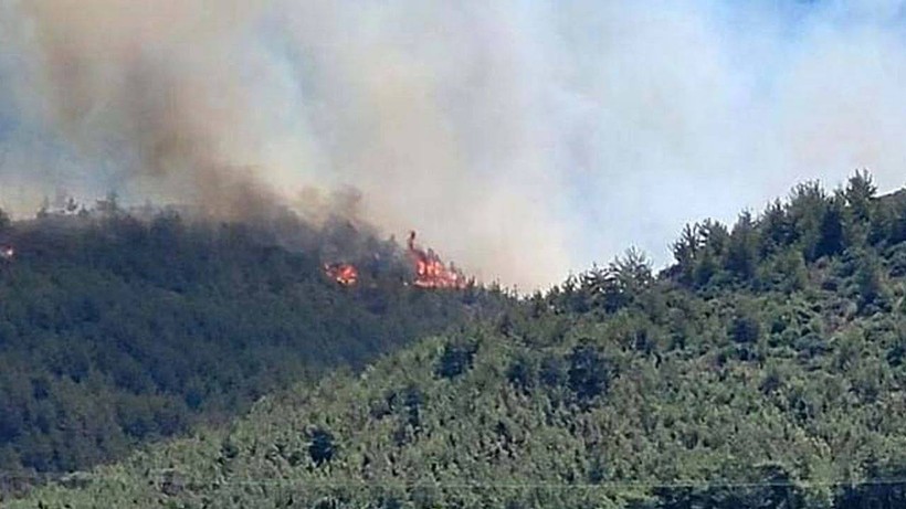 Hatay ve Balıkesir'de Orman Yangını