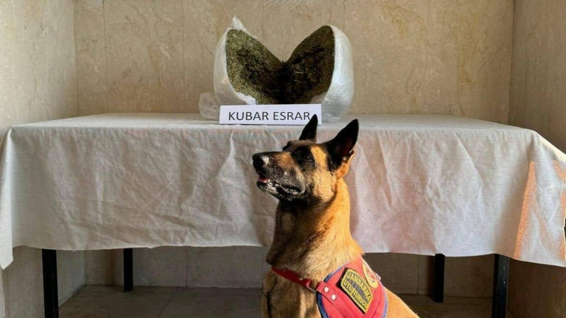 Elazığ'da Uyuşturucu Operasyonu! 7 Kilo Esrar Ele Geçirildi, 1 Gözaltı