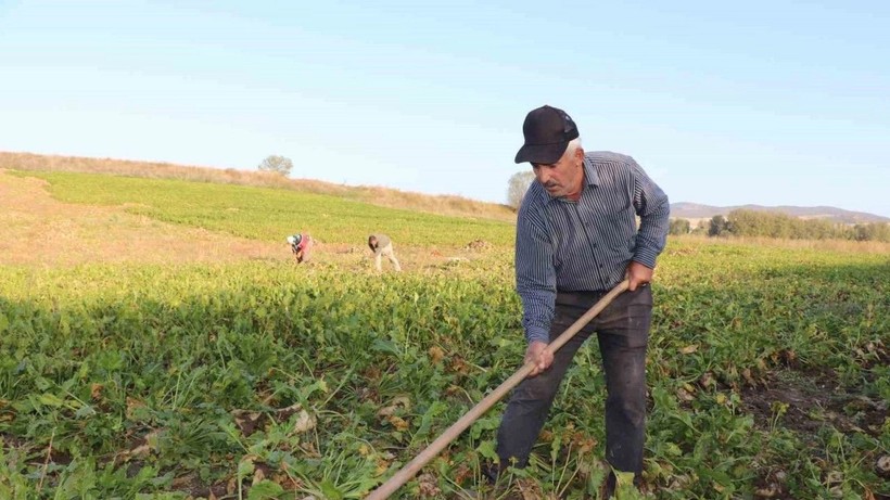 Vatandaş Bu Kış Yiyecek Bulamayacak: Çiftçi Borç Batağında!