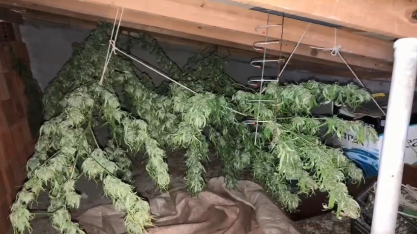 Artvin’de Ele Geçirildi! 8 Kilogram