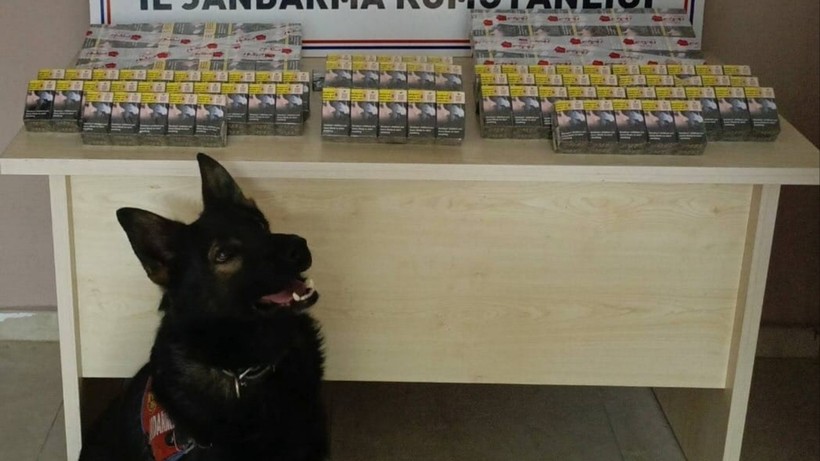 Kontrol İçin Durdurulan Tırdan Kaçak Sigaralar Çıktı