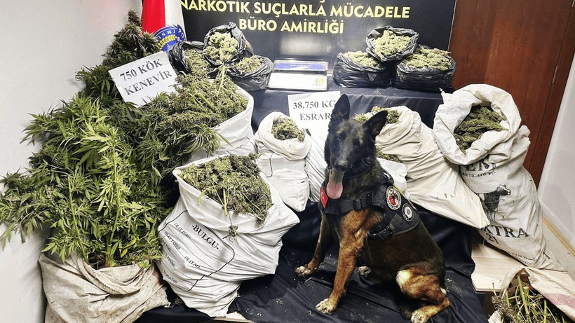 İzmir'de Zehir Tacirlerine Operasyon