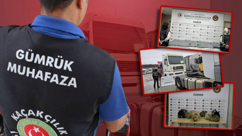 Habur, Hamzabeyli ve Kapıkule Sınır Kapısında 700 Milyon Liralık Servet, Bakanlık Ani Baskınla Hepsini Ele Geçirdi